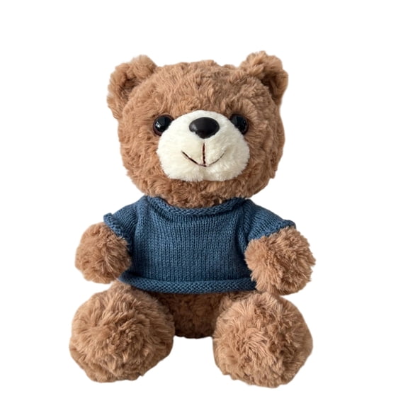 Personalized Teddy Bear 12" Plush Doll, Soft Stuffed Animal Gift for Her, Him, Kids, 13 Colors