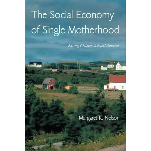 Perspectives on Gender The Social Economy of Single Motherhood: Raising Children in Rural America, (Paperback)