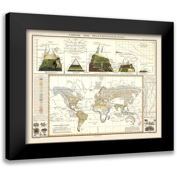 Perthes 14x12 Black Modern Framed Museum Art Print Titled - World Plant Geography - Perthes 1838