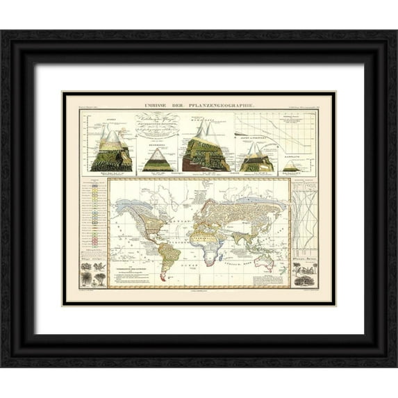 Perthes 18x15 Black Ornate Wood Framed with Double Matting Museum Art Print Titled - World Plant Geography - Perthes 1838