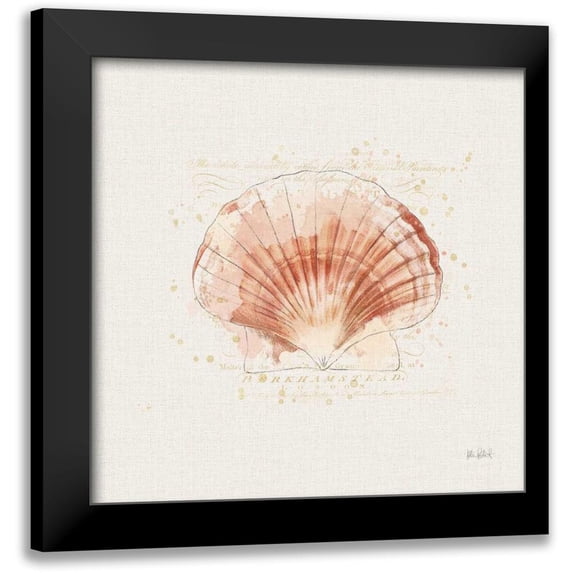 Pertiet, Katie 12x12 Black Modern Framed Museum Art Print Titled - Shell Collector IV