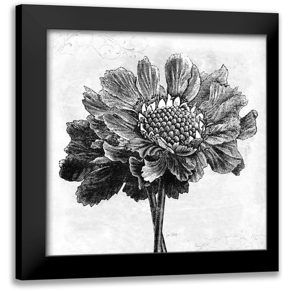Pertiet, Katie 12x12 Black Modern Framed Museum Art Print Titled - Spa Botanical I BW