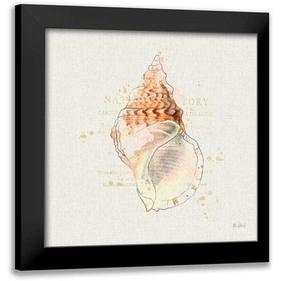 Pertiet, Katie 15x15 Black Modern Framed Museum Art Print Titled - Shell Collector III