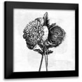 thumbnail image 1 of Pertiet, Katie 15x15 Black Modern Framed Museum Art Print Titled - Spa Botanical III BW, 1 of 5