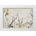 thumbnail image 1 of Pertiet, Katie 18x13 White Modern Wood Framed Museum Art Print Titled - Citron Curiosities I Gray, 1 of 4