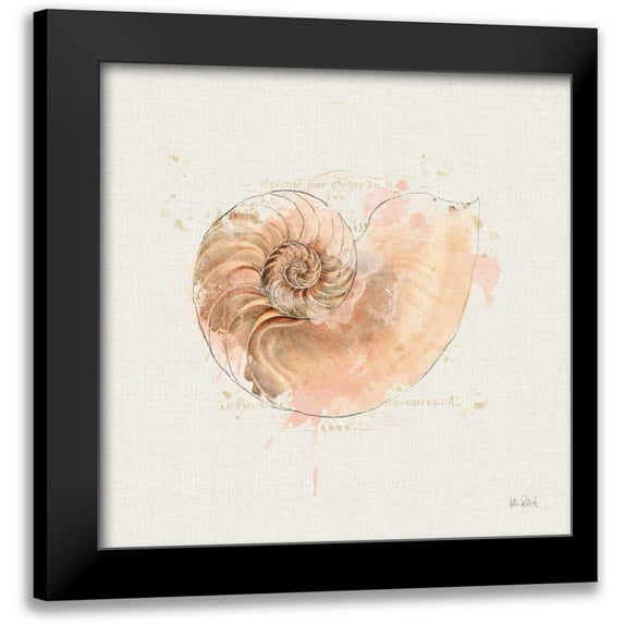 Pertiet, Katie 20x20 Black Modern Framed Museum Art Print Titled - Shell Collector II