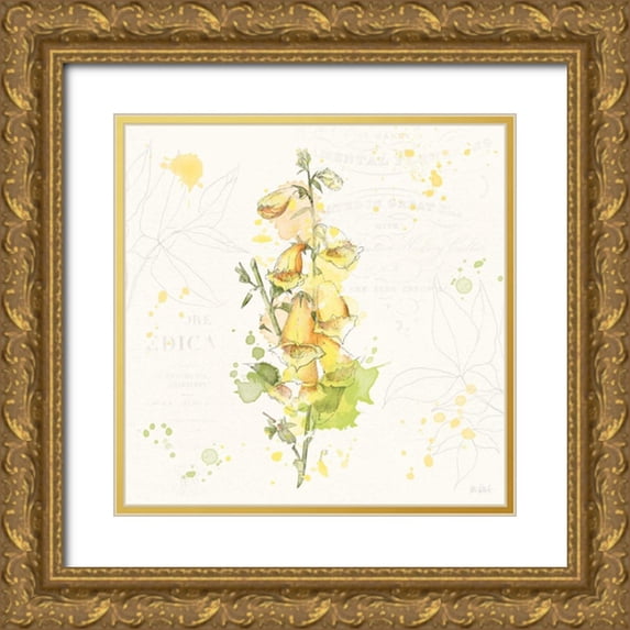 Pertiet, Katie 20x20 Gold Ornate Wood Framed with Double Matting Museum Art Print Titled - Floral Splash IV