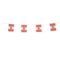 thumbnail image 1 of Peru Flags Peruvian Small String Flag Banner Mini National Country World Flags Pennant Banners For Party Events Classroom Garden Olympics Festival Grand Opening Bar Sports Clubs Celebration Decoration, 1 of 2
