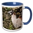 thumbnail image 1 of 3drose, Peru, Llama Along the Inca Trail at Machu Picchu - Sa17 Djo0159 - Diane Johnson, 15oz Two-tone Blue Mug, 1 of 6