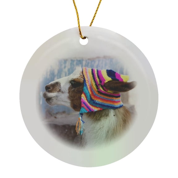 3drose, Peru, Llama in a Village - Sa17 Jri0005 - Jutta Riegel, Circle Porcelain Ornament