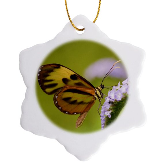 3drose, Peru, Madre De Dios, Butterfly on Flower - Sa17 Bja0069 - Jaynes Gallery, 3 inch Snowflake Porcelain Ornament
