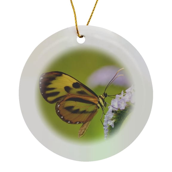 3drose, Peru, Madre De Dios, Butterfly on Flower - Sa17 Bja0069 - Jaynes Gallery, Circle Porcelain Ornament