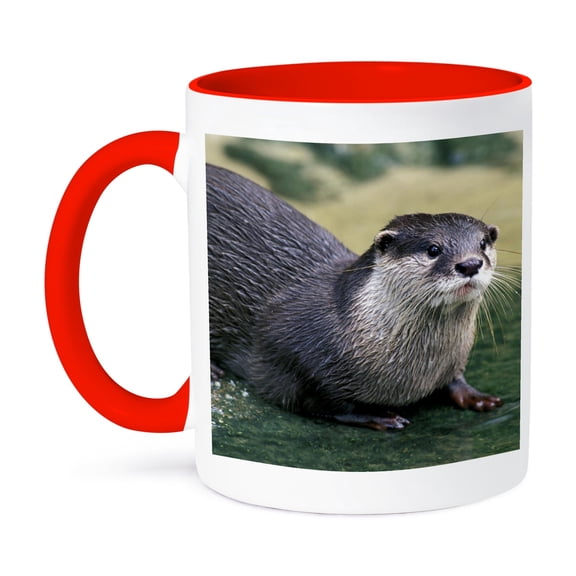 3dRose, Peru, Manu River Region. Giant River Otter wildlife - SA17 GJE0116 - Gavriel Jecan, 11oz Two-Tone Red Mug