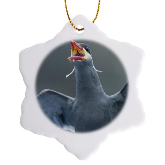 3drose, Peru, Pucusana, Inca Tern Bird - Sa17 Ksc0060 - Kevin Schafer, 3 inch Snowflake Porcelain Ornament