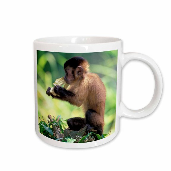 3drose, Peru, Rainforest. Monkey Eating - Sa17 Gje0119 - Gavriel Jecan, 15oz Mug