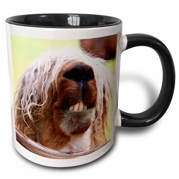 3drose, Peru. Suri Alpaca Wildlife, Awana Kancha - Sa17 Kwi0101 - Kymri Wilt, 11oz Two-tone Black Mug