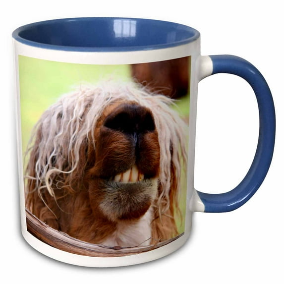 3drose, Peru. Suri Alpaca Wildlife, Awana Kancha - Sa17 Kwi0101 - Kymri Wilt, 15oz Two-tone Blue Mug