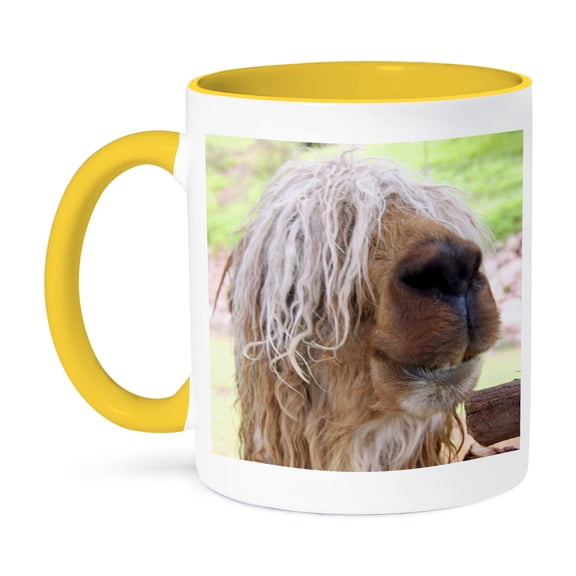 Peru. Suri Alpaca Wildlife, Awana Kancha - Sa17 Kwi0102 - Kymri Wilt, 11oz Two-Tone Yellow Mug