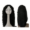 thumbnail image 1 of Peruvian Curly Human Hair Wig - Glueless Lace Front Braid Style, Adjustable Fit, High Temperature Fiber 250g, 1 of 9