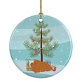 thumbnail image 1 of Peruvian Guinea Pig Merry Christmas Ceramic Ornament 2.8 in x 2.8 in, 1 of 3