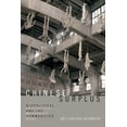 thumbnail image 1 of Perverse Modernities: A Series Edited by Chinese Surplus: Biopolitical Aesthetics and the Medically Commodified Body, (Paperback), 1 of 1