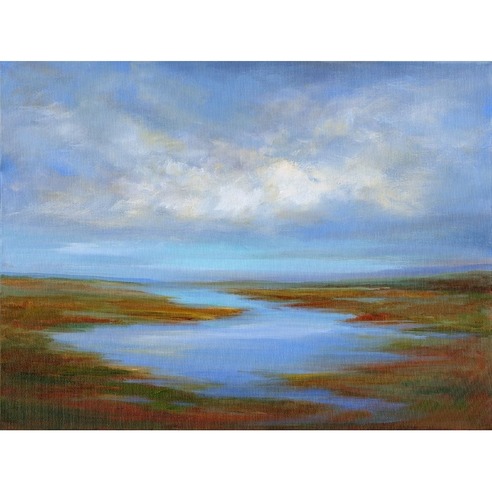 Pescadero Wetlands Poster Print - Finch Sheila (24 x 18) - Walmart.com