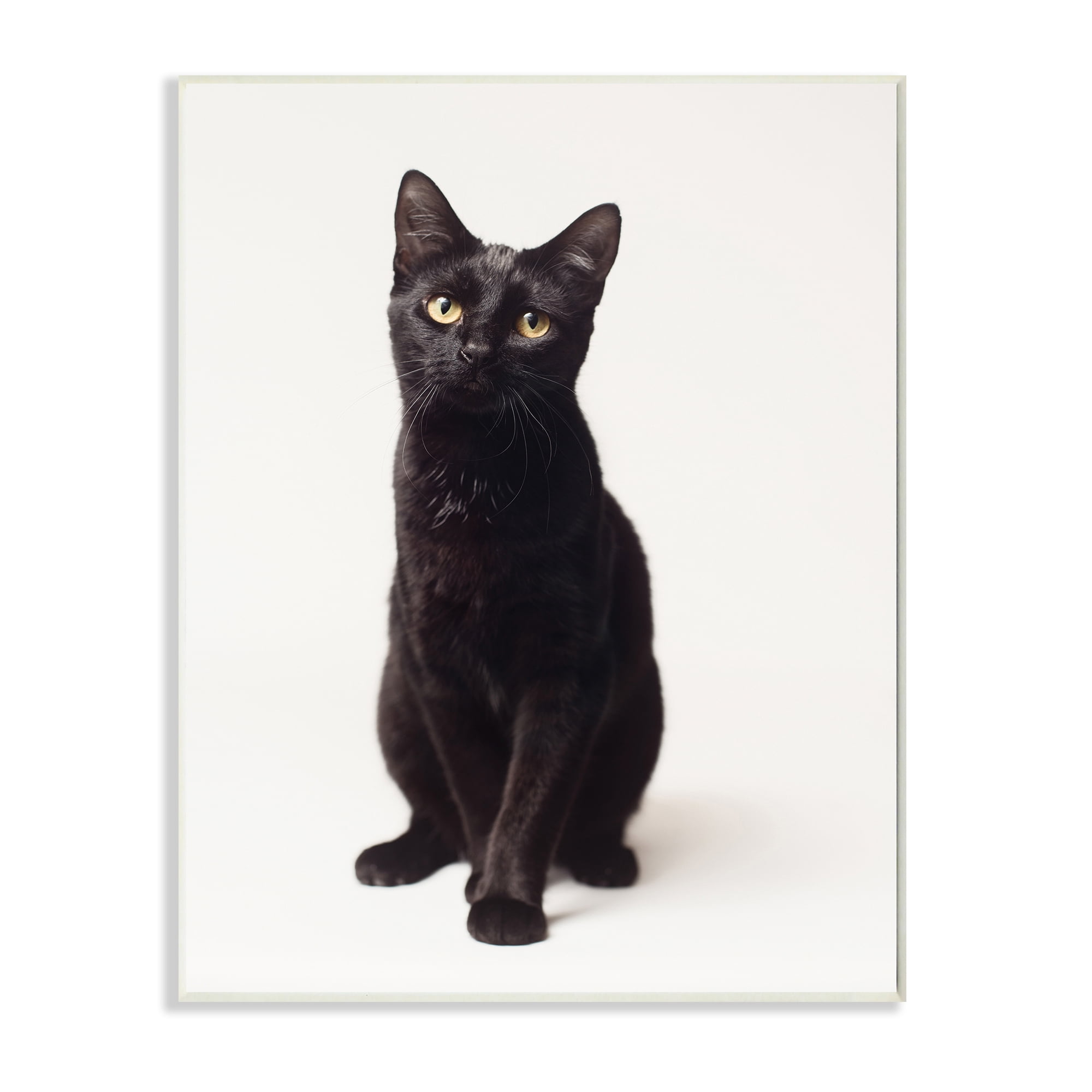 Stupell Industries Cute Black Cat Expressive Eyes Pet Portrait,13 x 19,Designed by Marika Moffit