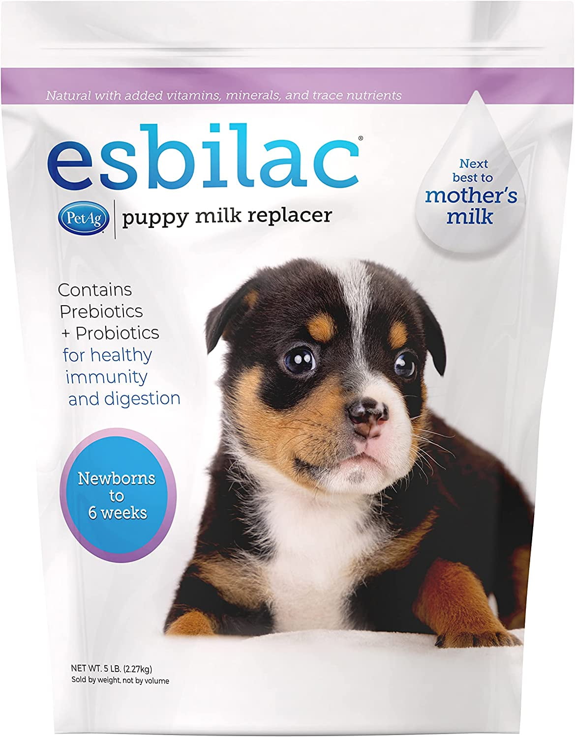 Puppy milk replacer walmart 2025