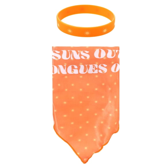 Pet Accessories Bracelet and Bandana Set, Orange, 2 Pieces