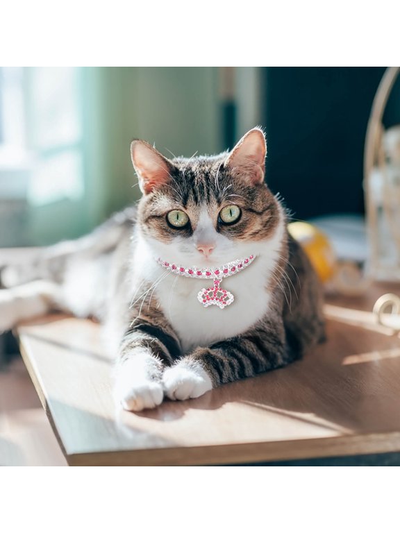 Pet Accessories Gold Chain Dog Necklace in Cuban Link Design for Medium to Large Dogs Heavy Duty Chew Proof Multiple Length Options Metal,M,Hot Pink