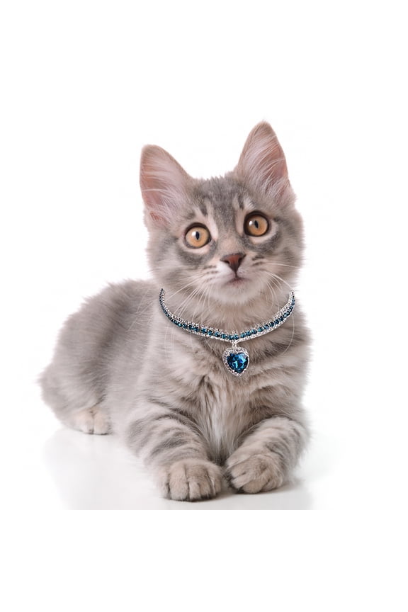 Pet Accessories Metal Necklace for Cats and Dogs Safe Chewing Chain Pet Collar Accessory for Small and Medium Dogs Stylish Everyday Wear,15 22 cm,Blue