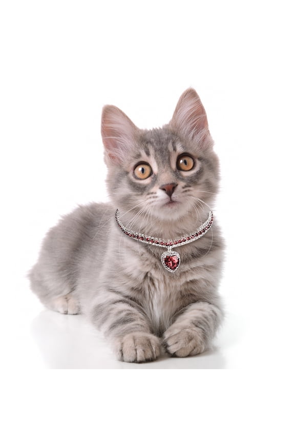 Pet Accessories Metal Necklace for Cats and Dogs Safe Chewing Chain Pet Collar Accessory for Small and Medium Dogs Stylish Everyday Wear,30 37 cm,Red