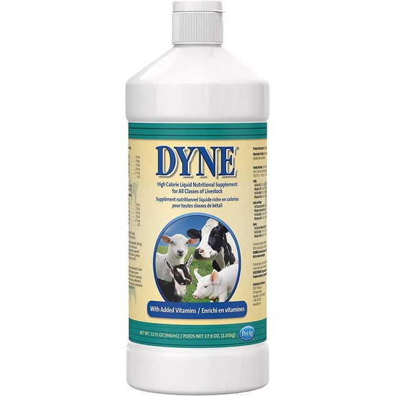 Pet-Ag Dyne High Calorie Liquid Nutritional Supplement for Livestock - 32 oz