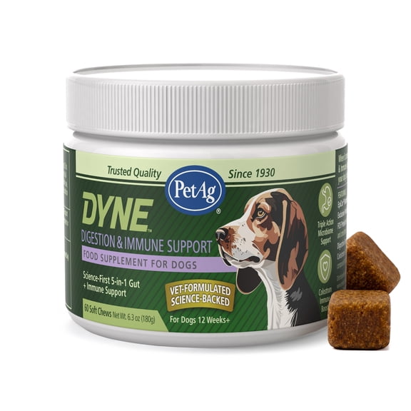 PetAg Dyne Digestion & Immune Support Soft Chews for Dogs – Vet-Formulated 5-in-1 Formula for Digestion, Gut, & Immune Health – Natural Antibody support with Colostrum – 60 Chicken Liver Flavor Chews