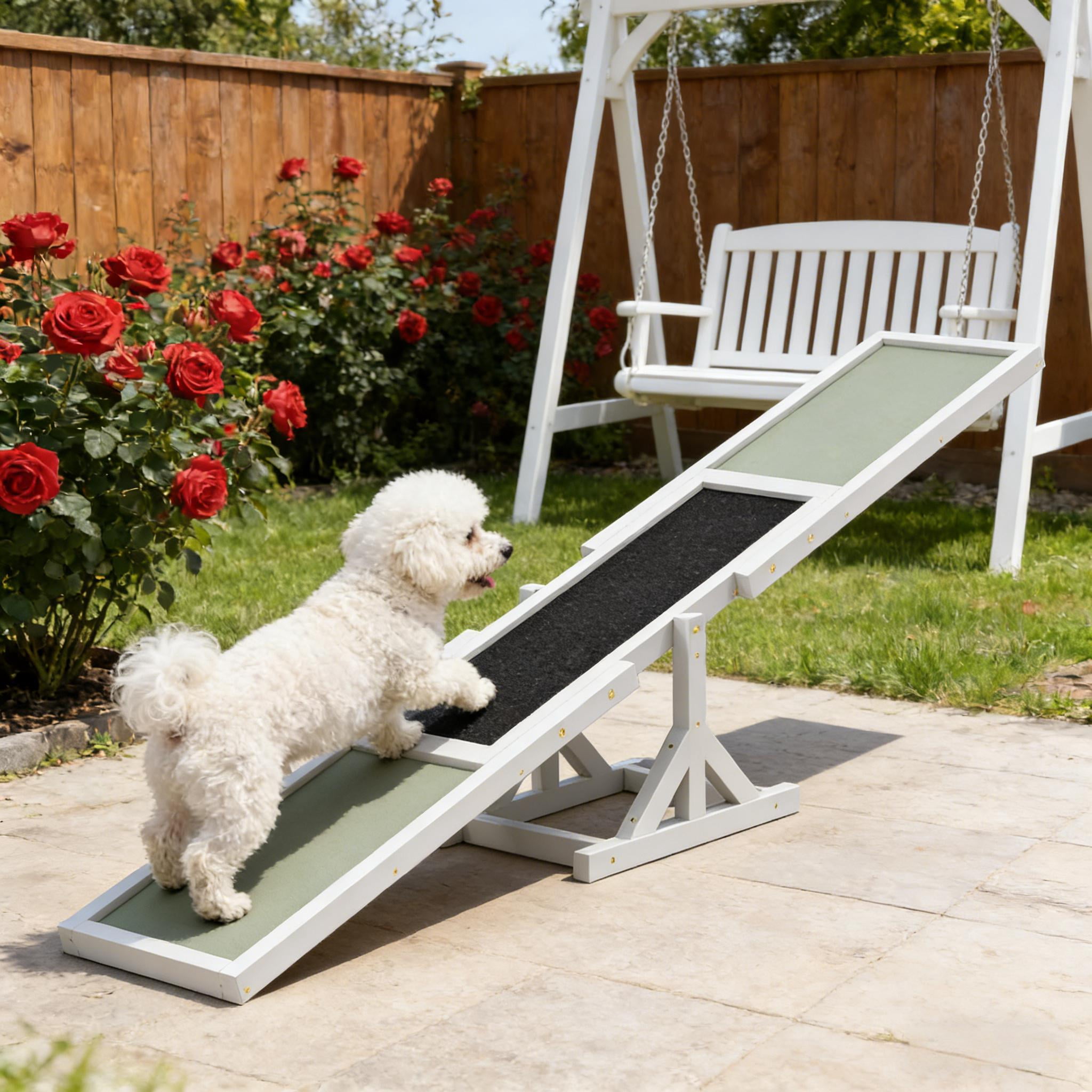Pet Agility Seesaw, Wooden Agility Seesaw