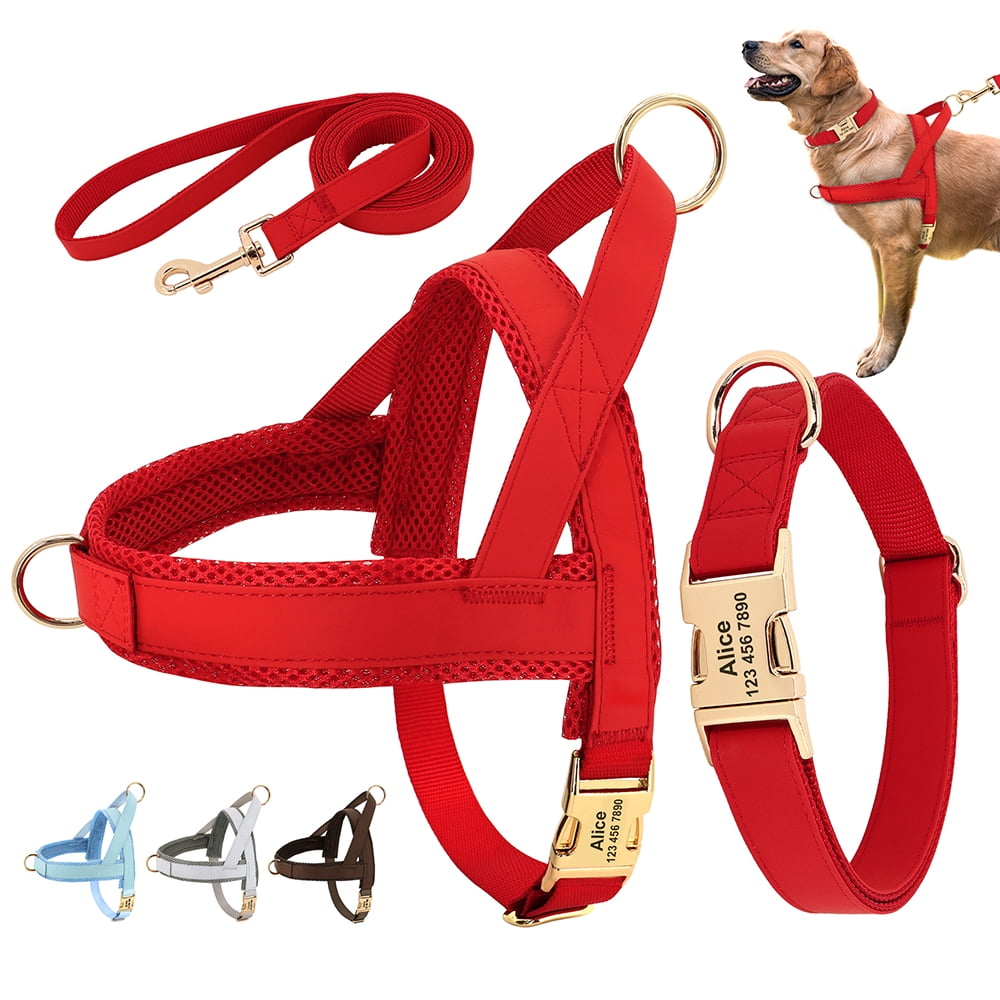Pet Artist 3pcs Personalized Dog Harness & Collar & Leash set Metal ID Name Metal Buckle Mesh Padded Adjustable
