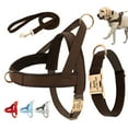 thumbnail image 1 of Pet Artist 3pcs Personalized Dog Harness & Collar & Leash set Metal ID Name Metal Buckle Mesh Padded Adjustable, 1 of 8