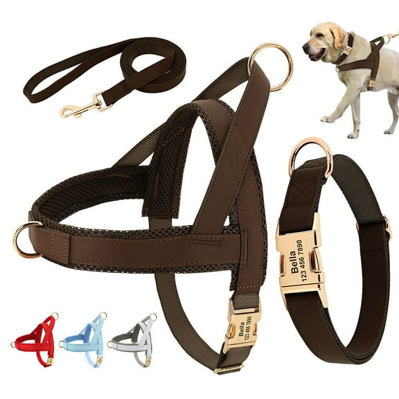 Pet Artist 3pcs Personalized Dog Harness & Collar & Leash set Metal ID Name Metal Buckle Mesh Padded Adjustable