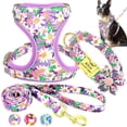 thumbnail image 1 of Pet Artist 3pcs Printed Dog Harness and leash and Personalized Dog Collar Set Custom Engraved, 1 of 5