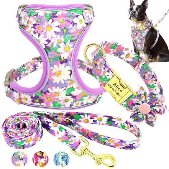Pet Artist 3pcs Printed Dog Harness and leash and Personalized Dog Collar Set Custom Engraved