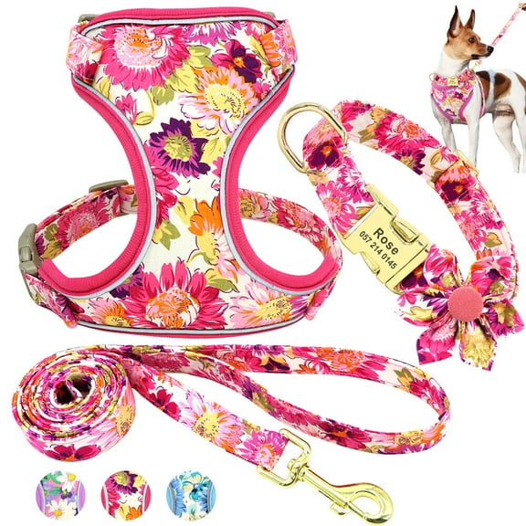 Pet Artist 3pcs Printed Dog Harness and leash and Personalized Dog Collar Set Custom Engraved