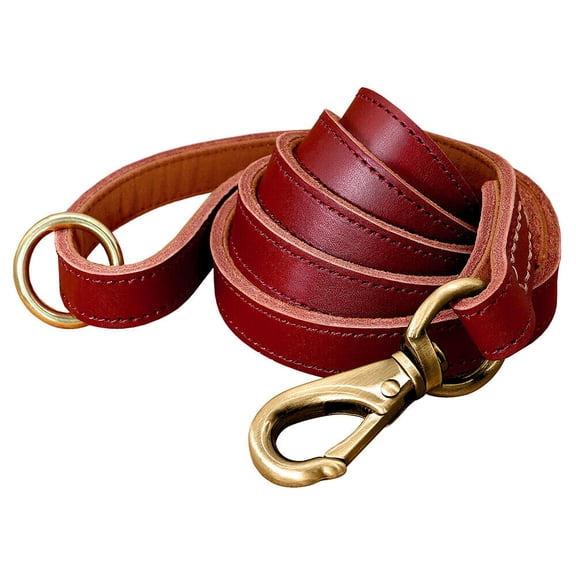 Pet Artist 5ft Genuine Leather Dog Leash Heavy Duty Walking Training Leashes Strong with Ring