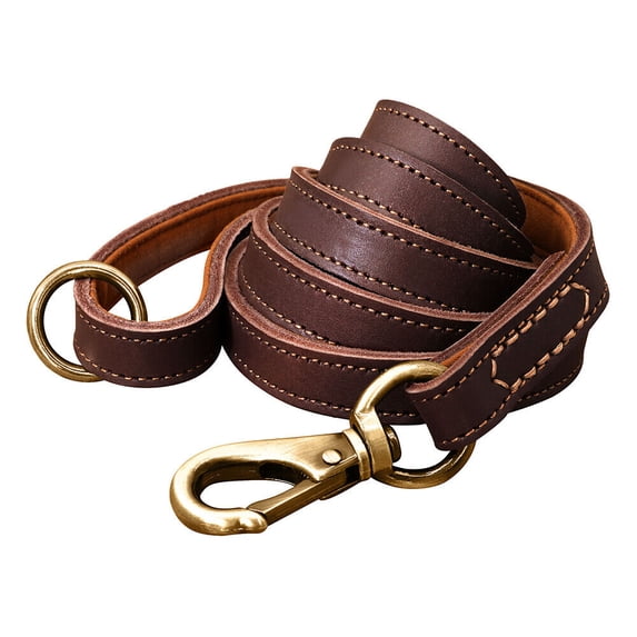 Pet Artist 5ft Genuine Leather Dog Leash Heavy Duty Walking Training Leashes Strong with Ring