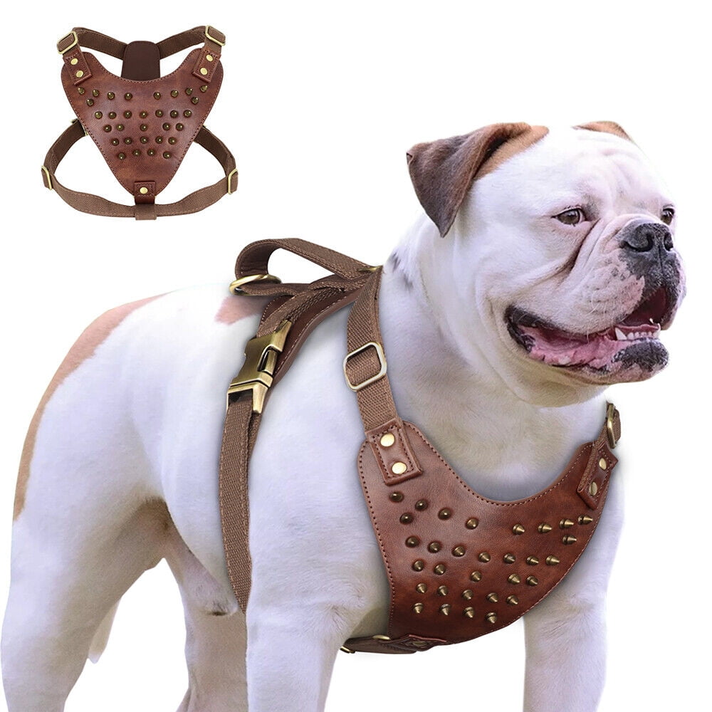 Leather harness for large dogs online