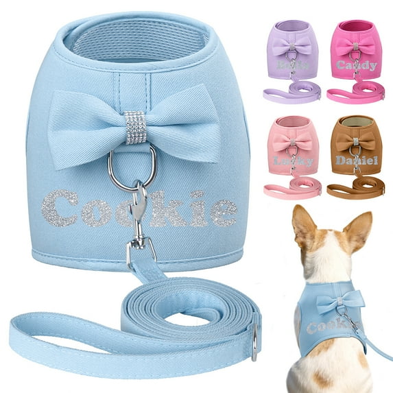 Pet Artist Custom Dog Harness with Name Print, Soft Mesh Padded Vest & Leash Set for Small Medium Dogs, Puppy and Cat, Adjustable Pet Vest