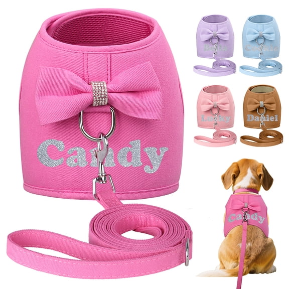 Pet Artist Custom Dog Harness with Name Print, Soft Mesh Padded Vest & Leash Set for Small Medium Dogs, Puppy and Cat, Adjustable Pet Vest