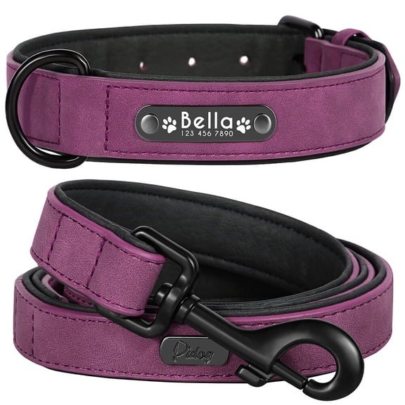 Pet Artist Dog Collar and Leash Set Personalized with Name - Soft Padded PU Leather, Custom Engraved Nameplate,S-2XL