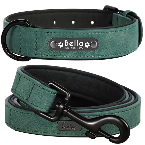 Pet Artist Dog Collar and Leash Set Personalized with Name - Soft Padded PU Leather, Custom Engraved Nameplate,S-2XL