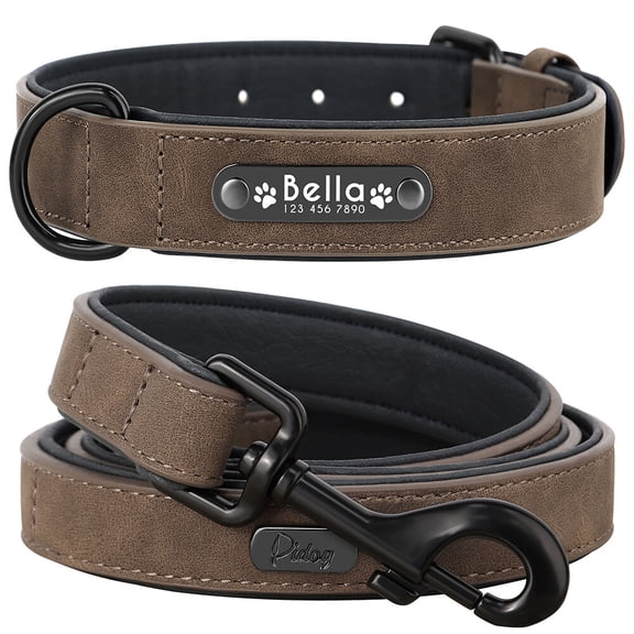 Pet Artist Dog Collar and Leash Set Personalized with Name - Soft Padded PU Leather, Custom Engraved Nameplate,S-2XL