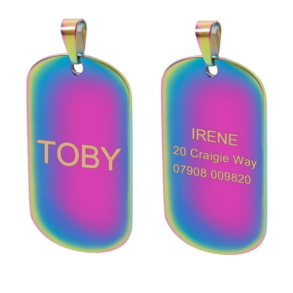 Pet Artist Dog ID Tag Personalized Rainbow Bone/Rectangular/Round Pet Name Engraved Tags